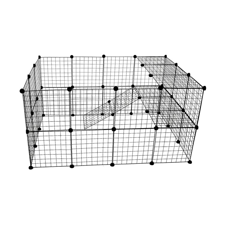 Guinea pig 2024 cage wayfair